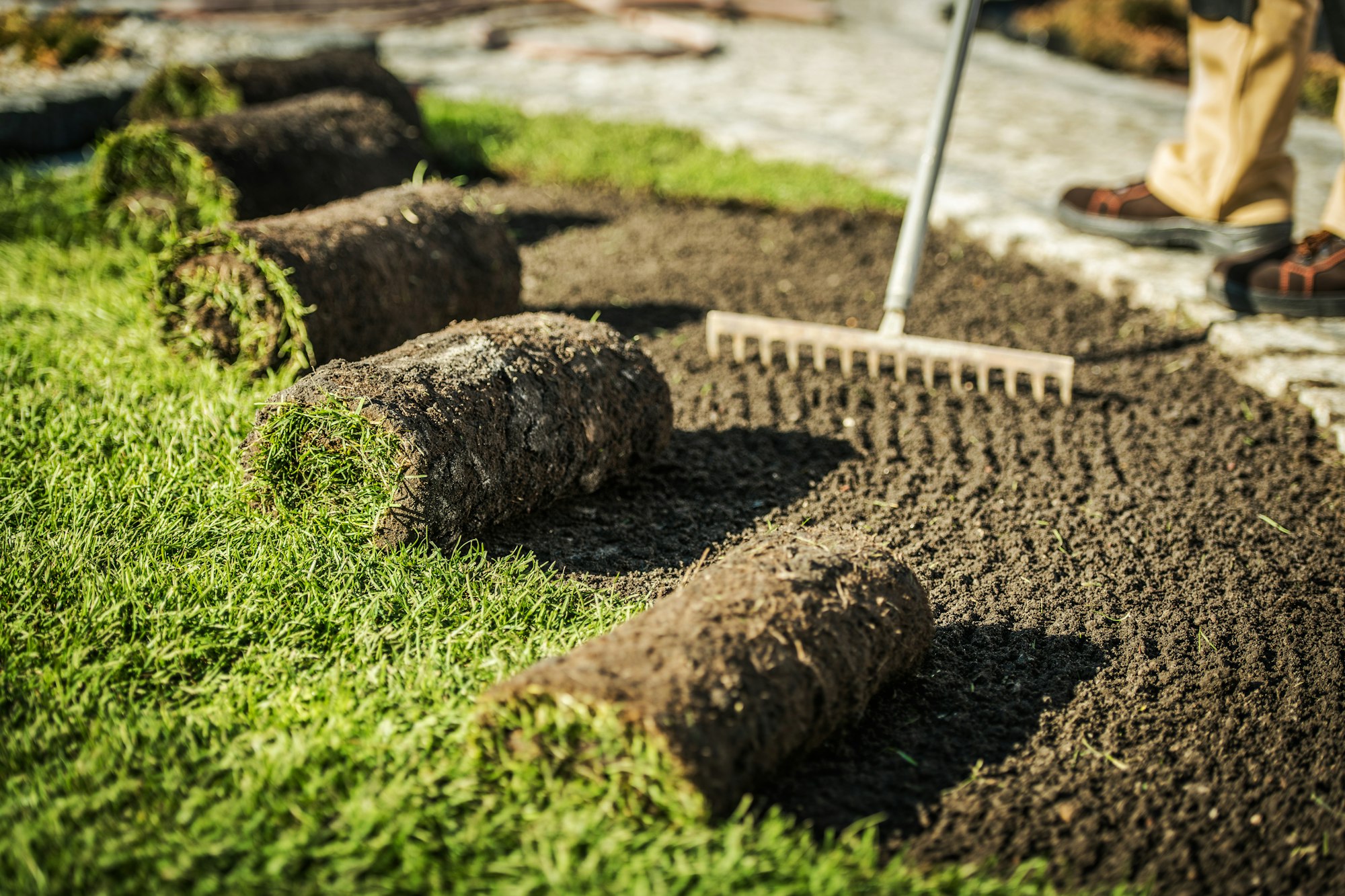 Lawn Care Contractor Prepares Area For Sod Installation.